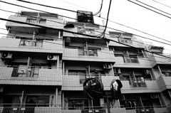 隣接する生活空間