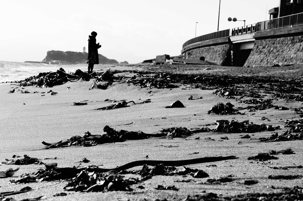 the seaside