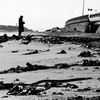the seaside