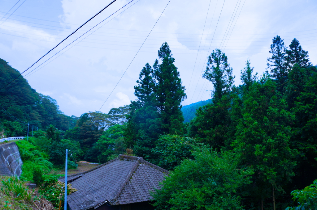 山奥で