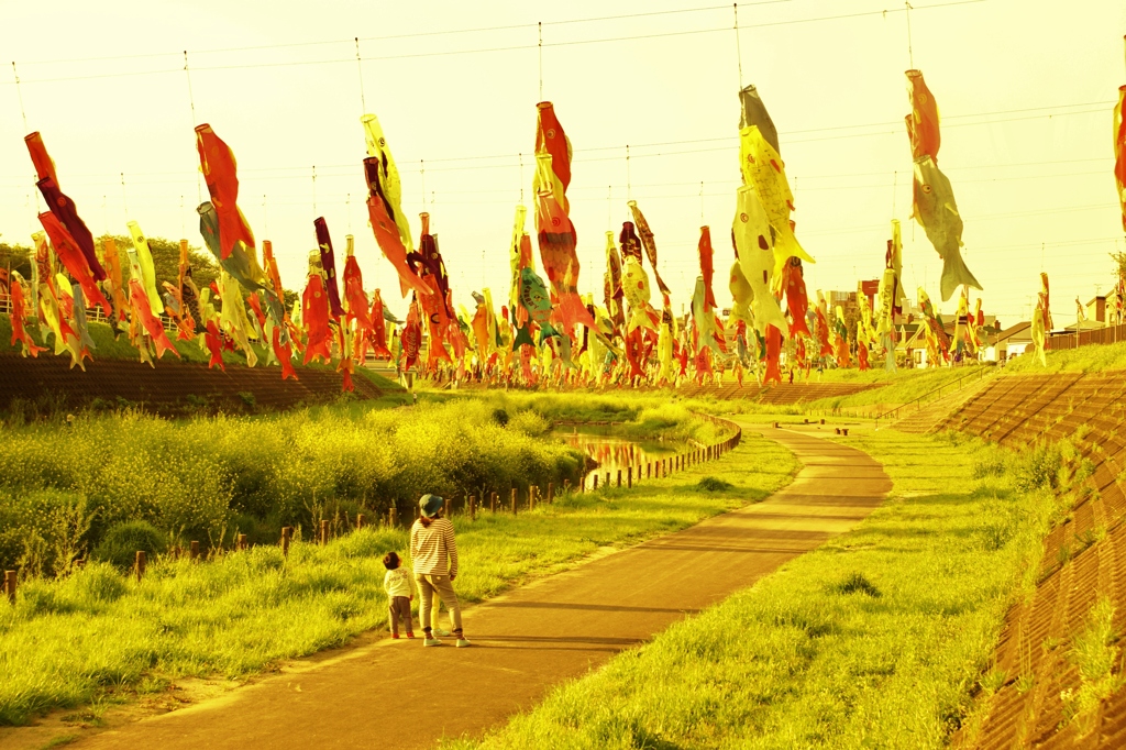 DSC03546