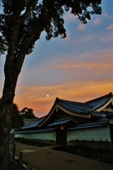 東大寺