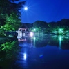 奈良公園　浮見堂１