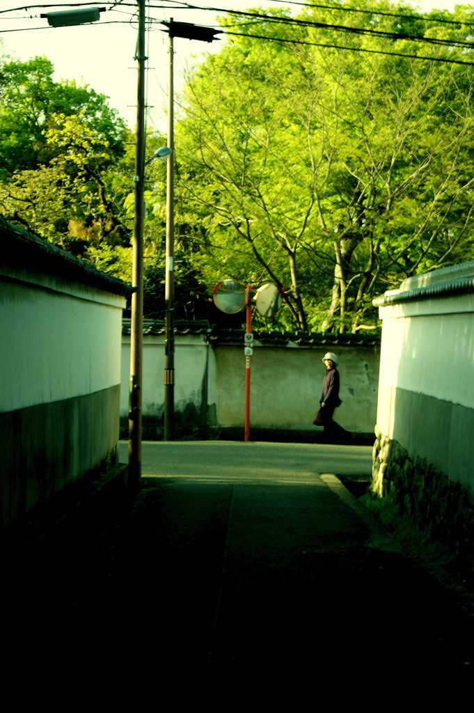 奥の道