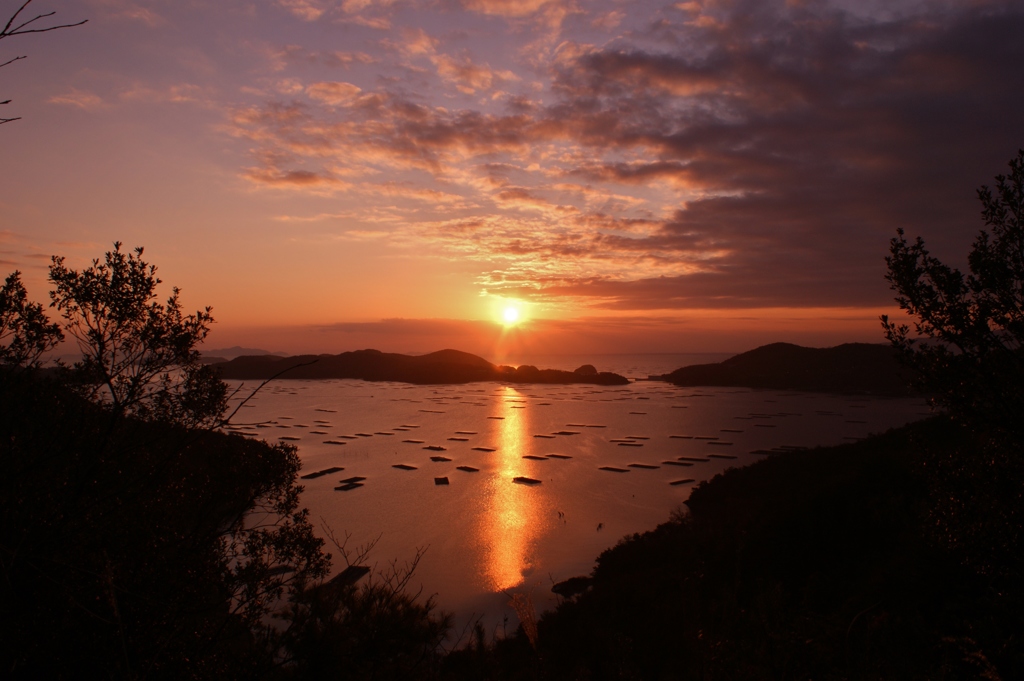 虫明湾の夜明け