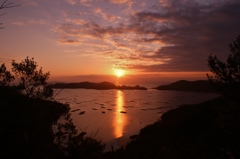 虫明湾の夜明け