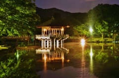 奈良公園　浮見堂4