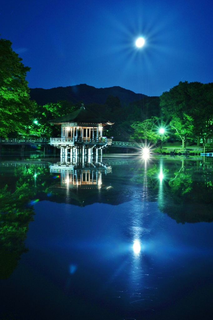 奈良公園　浮見堂２
