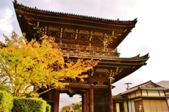清凉寺２