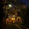 IMGP0442