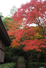 常寂光寺