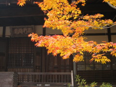 常寂光寺