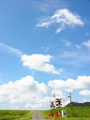 夏もそろそろ…
