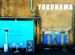 BLUE / YOKOHAMA