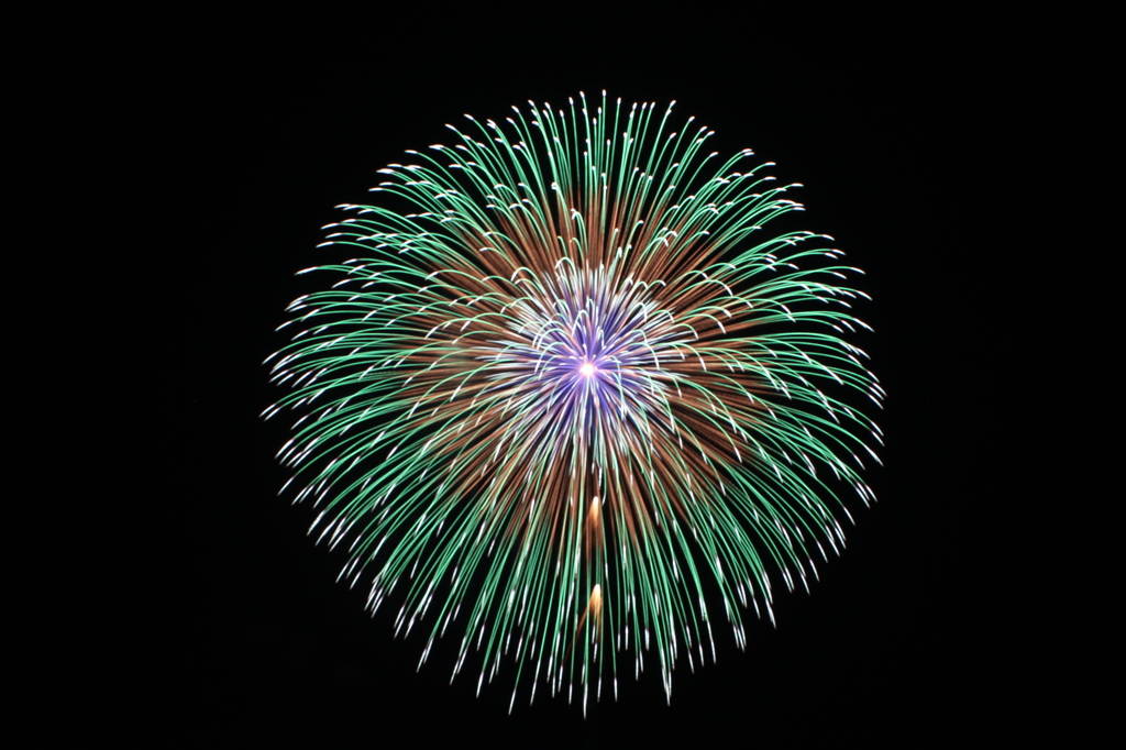 浜名湖の花火(夜の花）