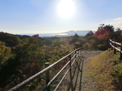 家の近くの山に登って写真をとってきました。