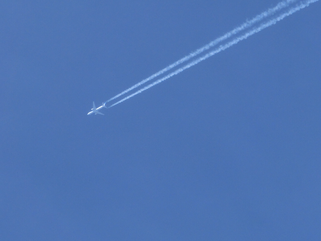 飛行機
