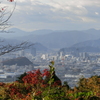 紅葉の山から街の写真