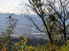 家の近くの山に登って写真をとってきました。