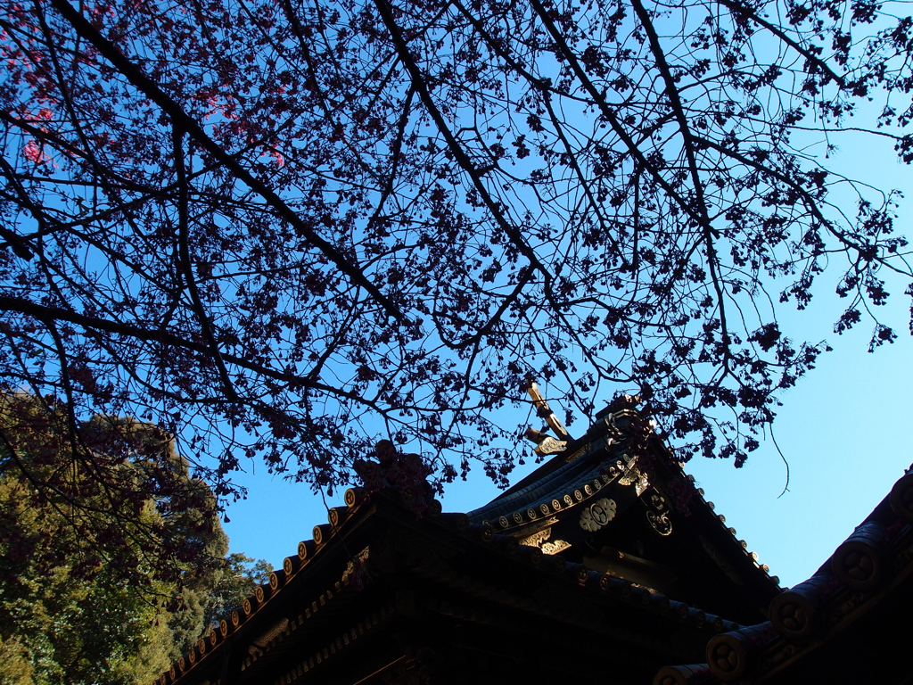 久能山東照宮
