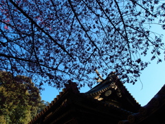 久能山東照宮