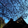 久能山東照宮