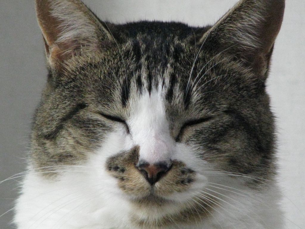 かりん様
