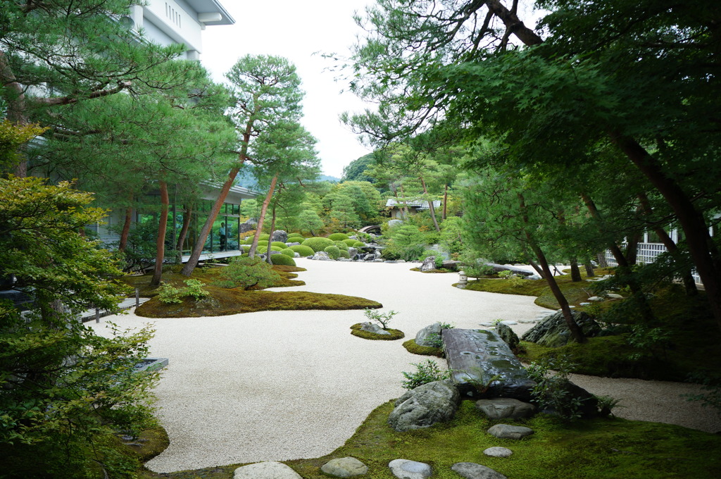 DSC00902