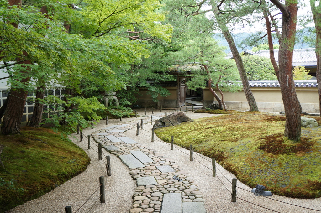DSC00901