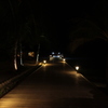 夜の桟橋