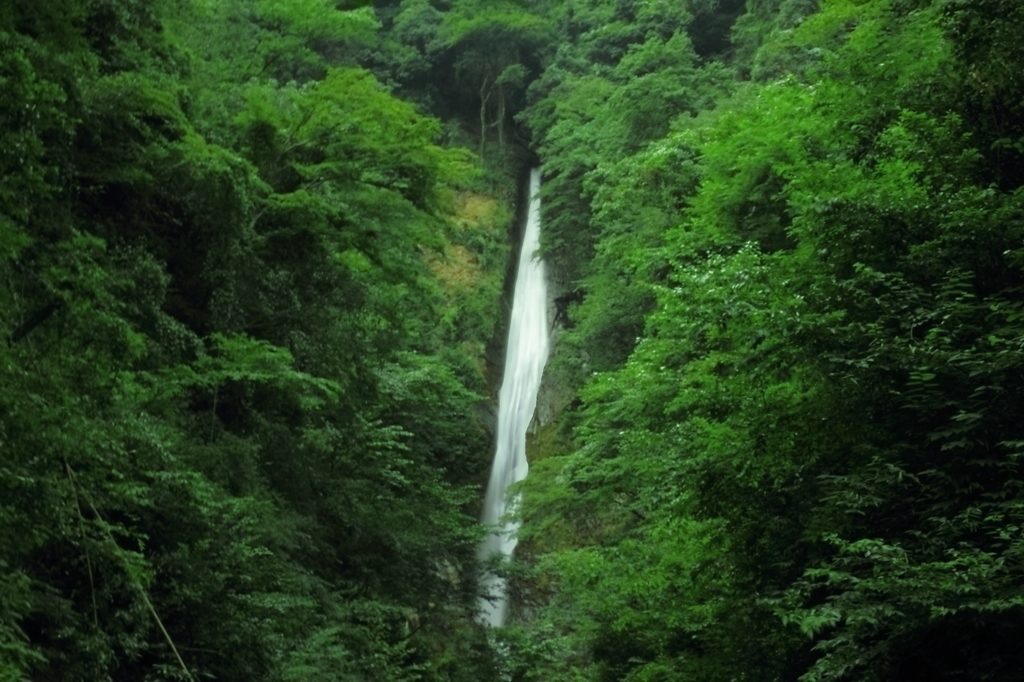 洒水の滝