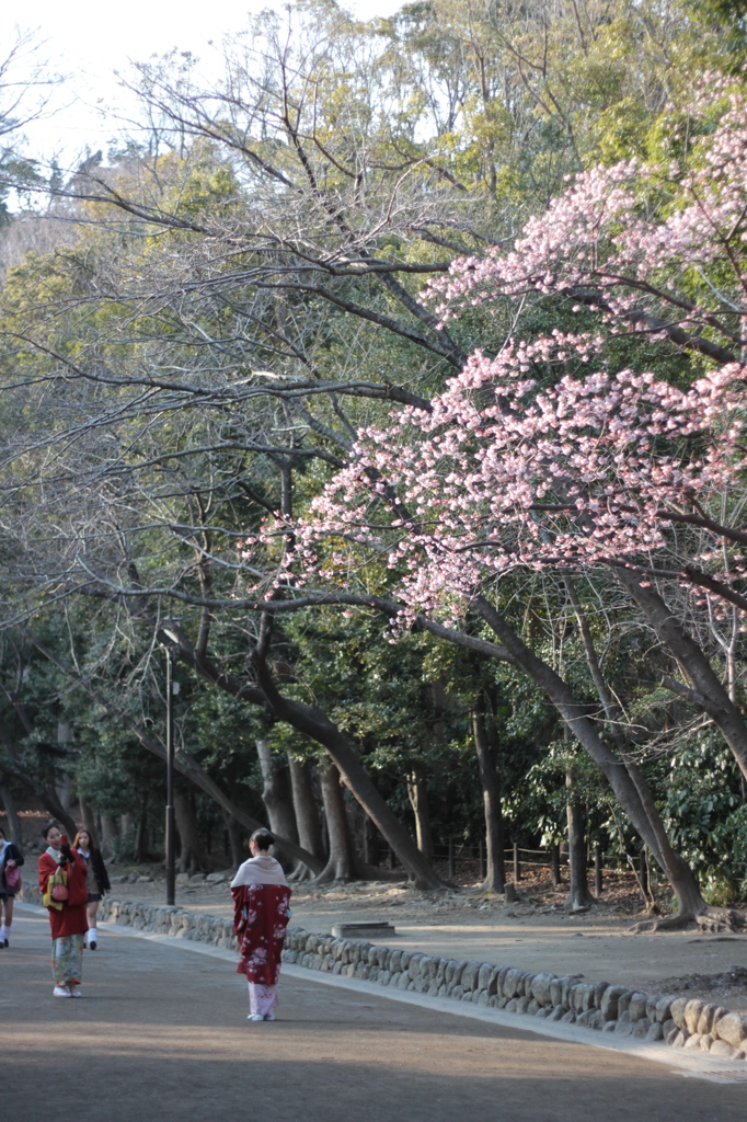 鶴岡八幡宮