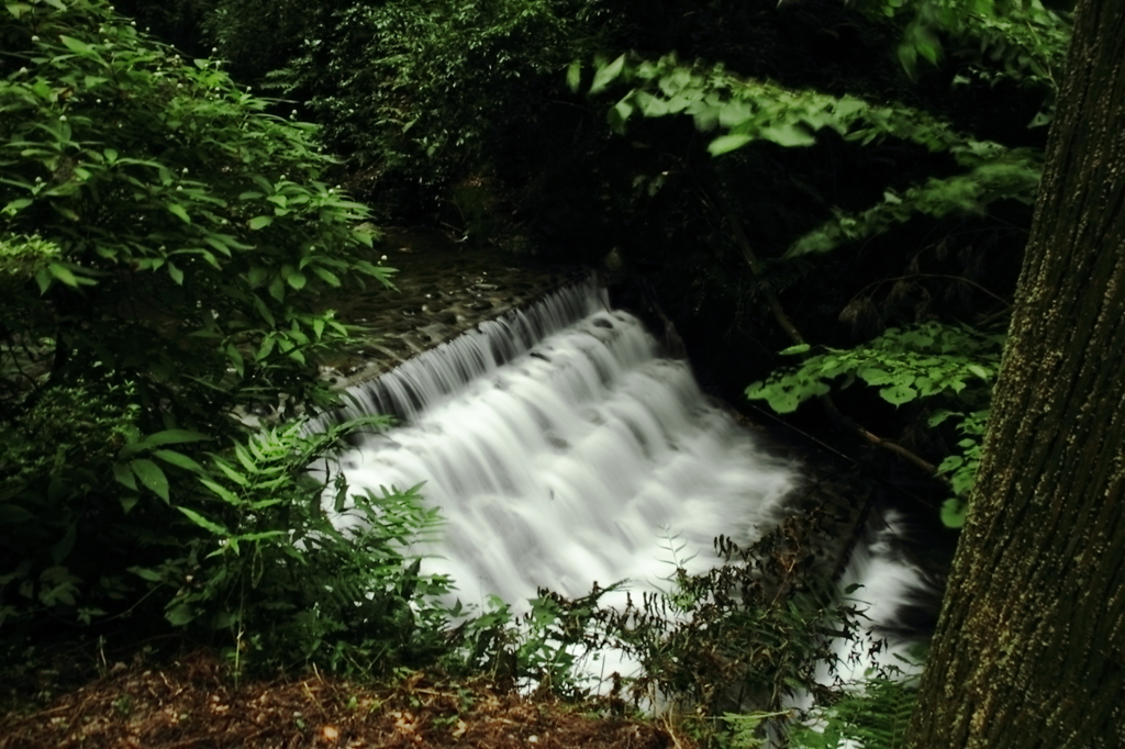 洒水の滝２