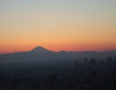 富士山と都庁