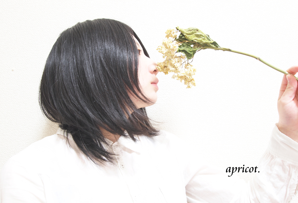 apricot.