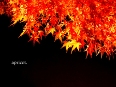 紅葉色.01