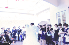 Wedding.6