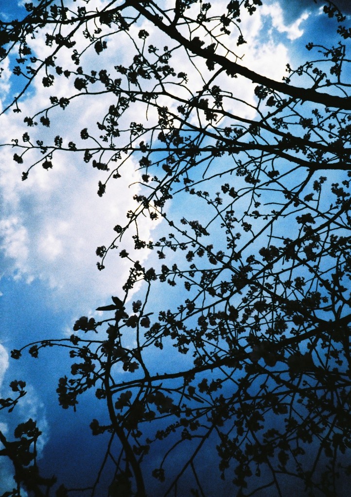 青空