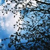 青空