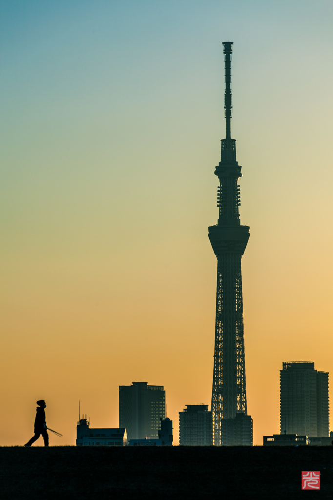 東京日和