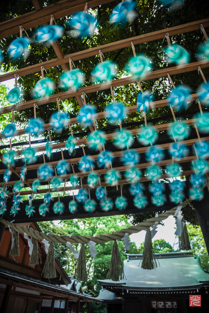 川越氷川神社