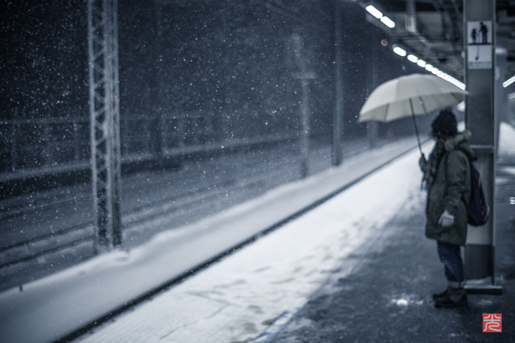 Tokyo Snowy(II)