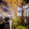 Tokyo night exposure(omote-sando)