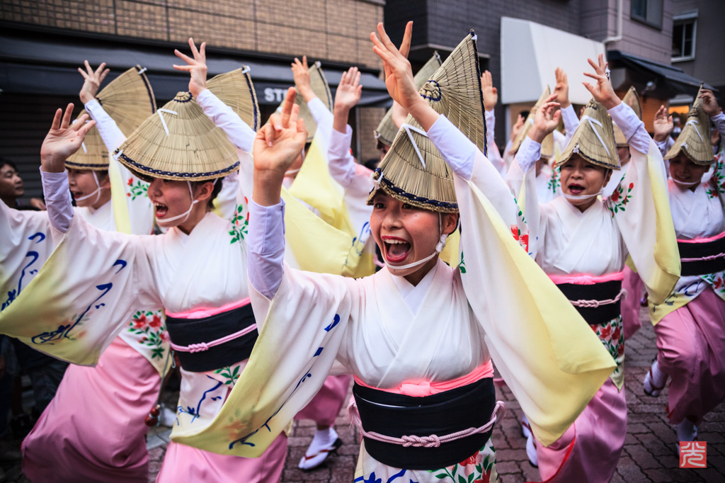 第59回　東京阿波踊り（高円寺）