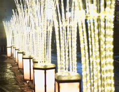 草津のライトアップ