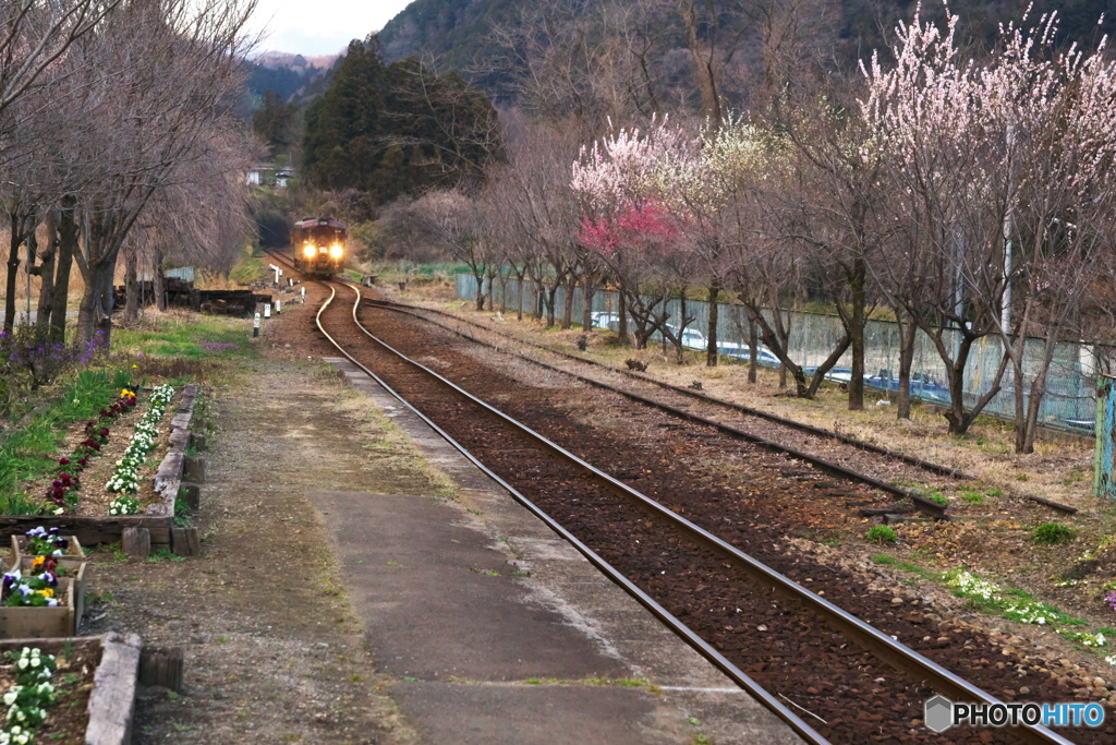 春の兆し