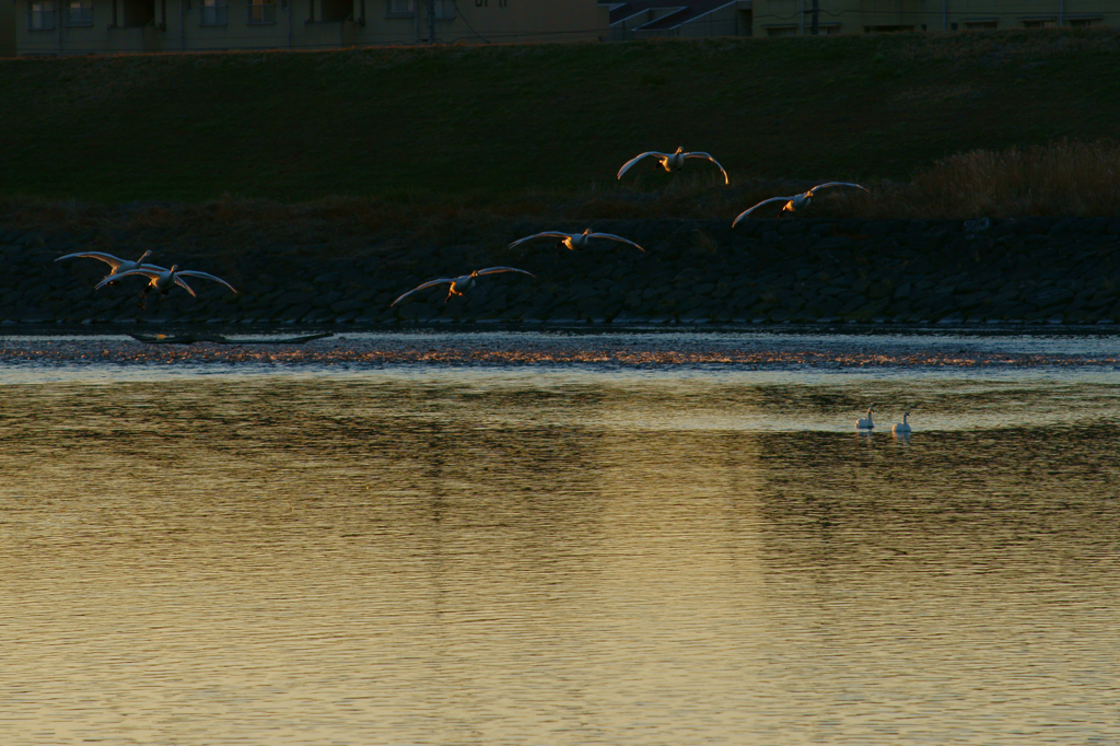 日差しを浴びて