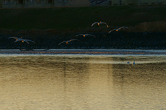 日差しを浴びて