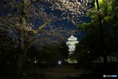 春を迎える松本城