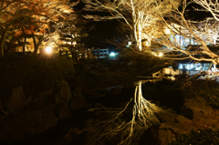 水面に映った紅葉